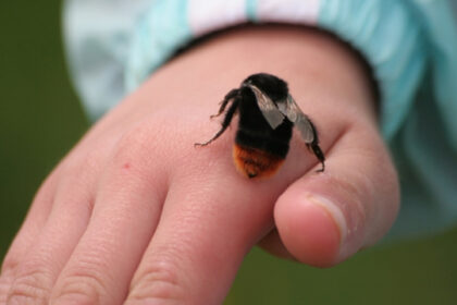 You don't have to fear death anymore!