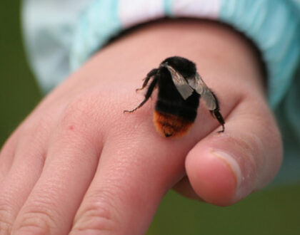 You don't have to fear death anymore!