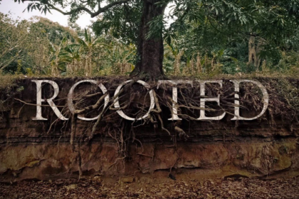 Rooted in Christian Truth