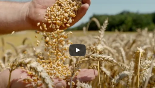 "Tools the Devil Uses to Stop Christians" (Luke 22:31)